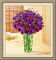Charles The Florist, 219 E College Ave, Appleton, WI 54911, (920)_734-8793